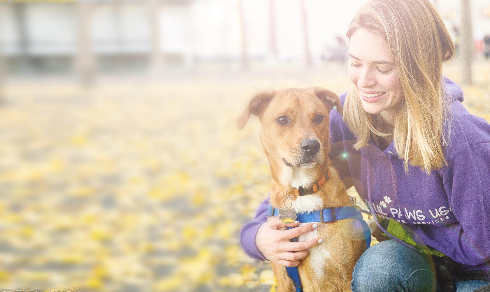 Doggie Day Care in Hoboken and Jersey City Playful Paws